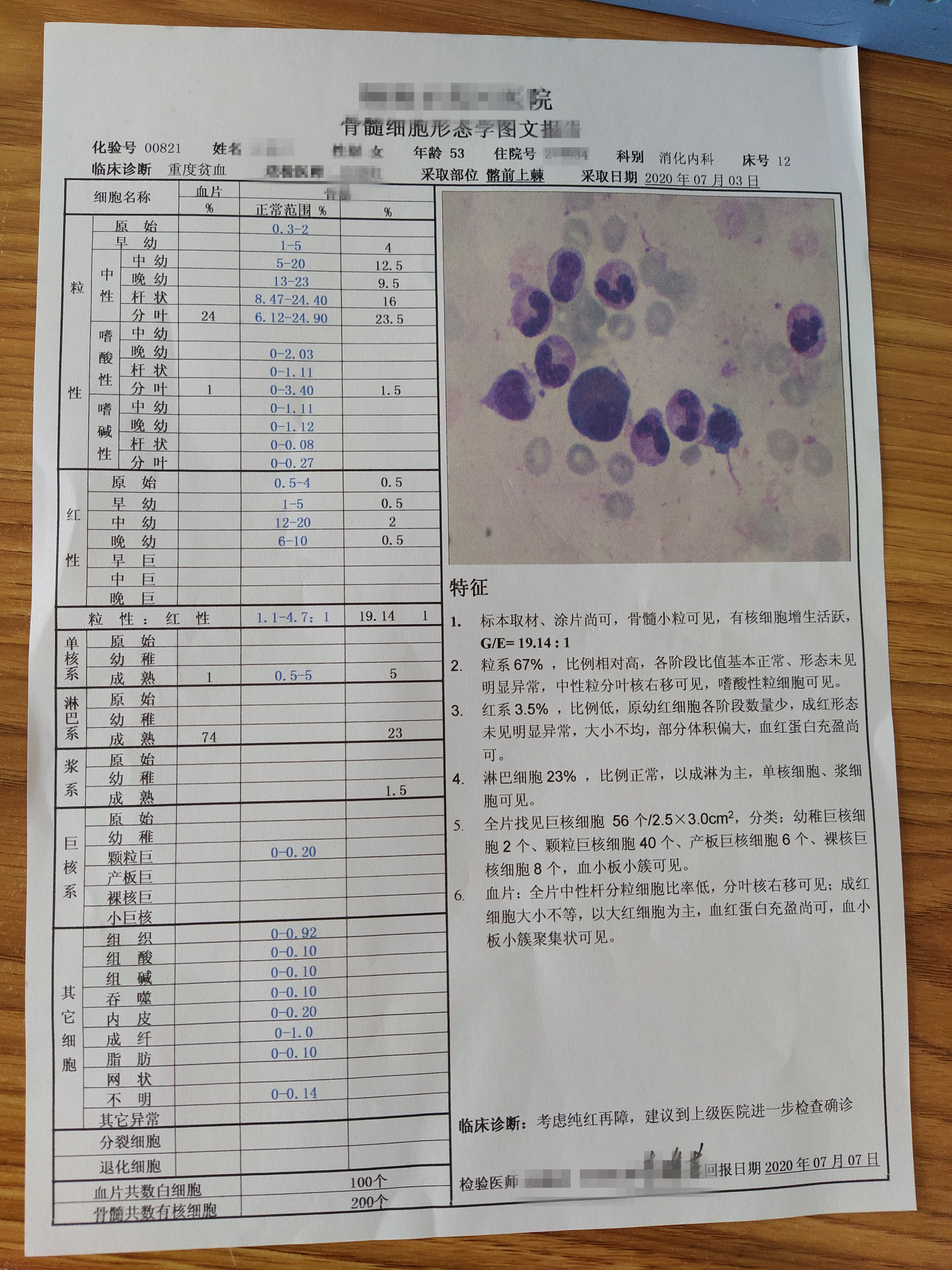 家人患上血液病，我才明白装修污染多可怕，骨髓穿刺结果
